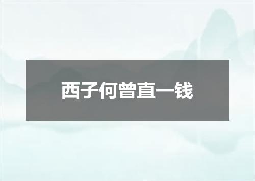 西子何曾直一钱