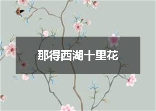 那得西湖十里花