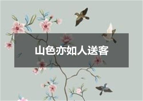 山色亦如人送客