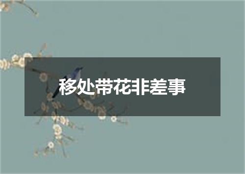 移处带花非差事