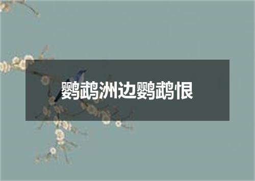 鹦鹉洲边鹦鹉恨