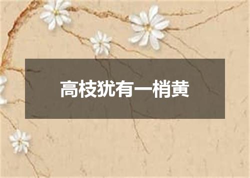 高枝犹有一梢黄