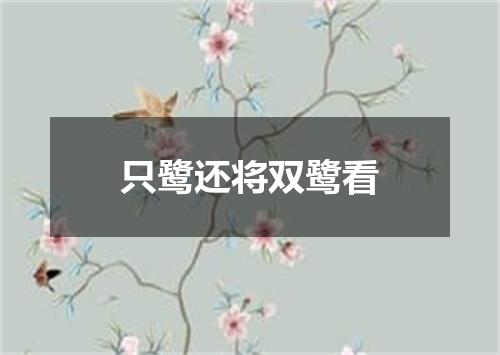只鹭还将双鹭看