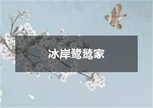 冰岸鹭鸶家