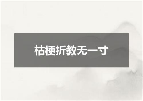 枯梗折教无一寸