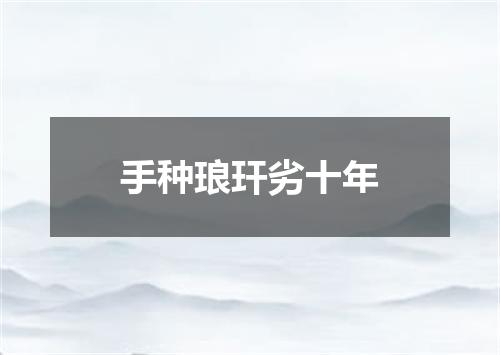 手种琅玕劣十年