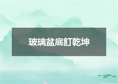 玻璃盆底飣乾坤