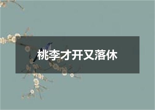 桃李才开又落休
