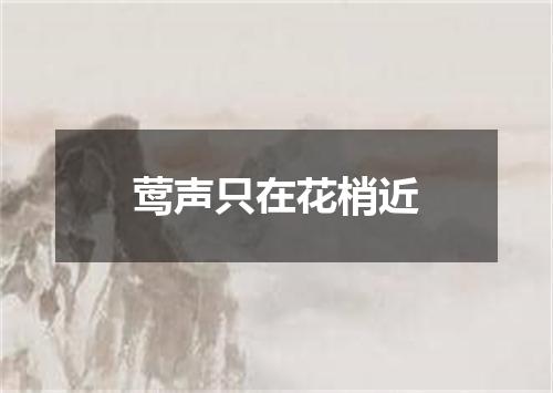 莺声只在花梢近