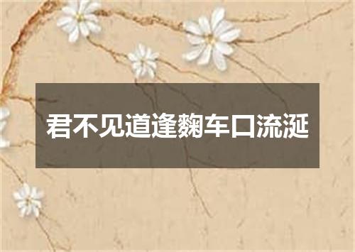 君不见道逢麴车口流涎