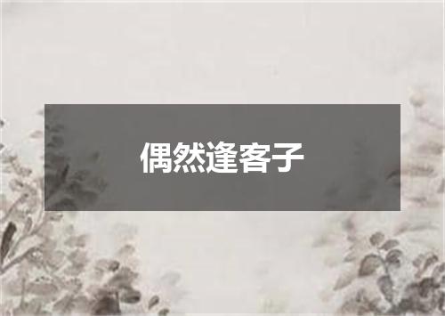 偶然逢客子