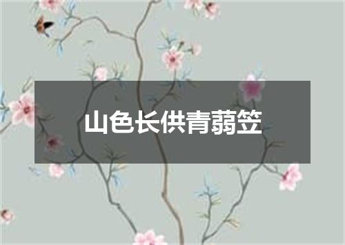 山色长供青蒻笠
