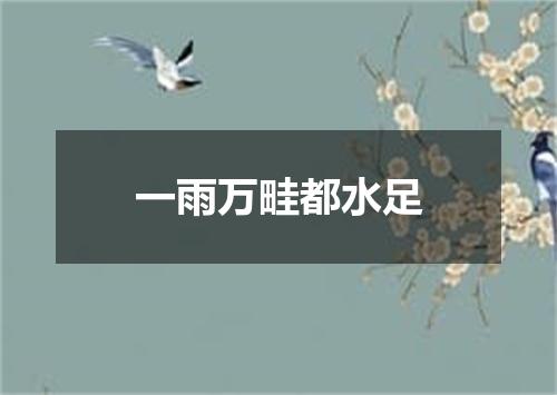 一雨万畦都水足