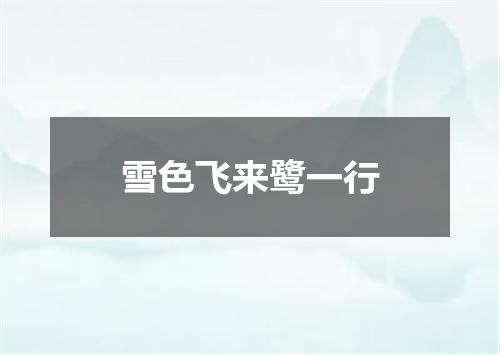雪色飞来鹭一行