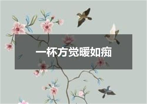 一杯方觉暖如痴