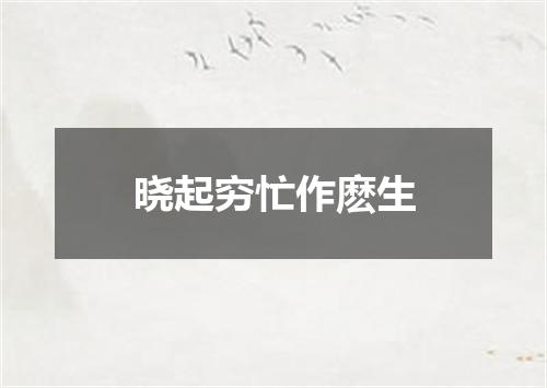 晓起穷忙作麽生