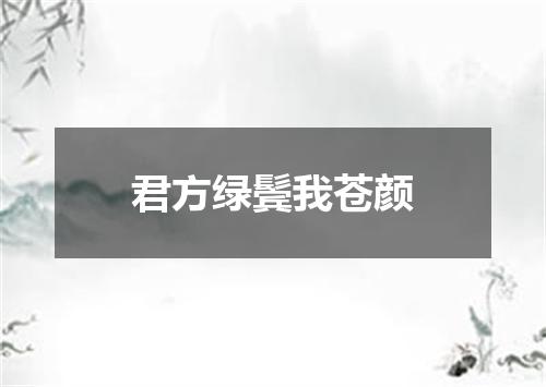君方绿鬓我苍颜