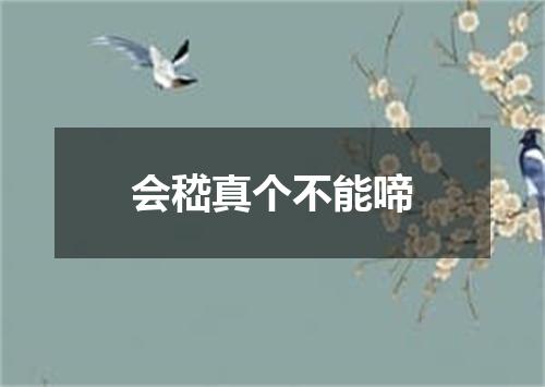 会嵇真个不能啼