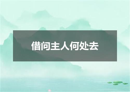 借问主人何处去