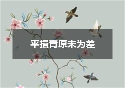 平揖青原未为差