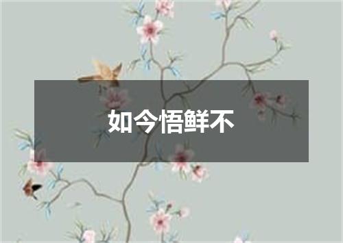 如今悟鲜不