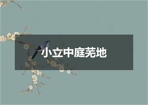 小立中庭芜地