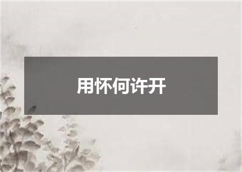用怀何许开