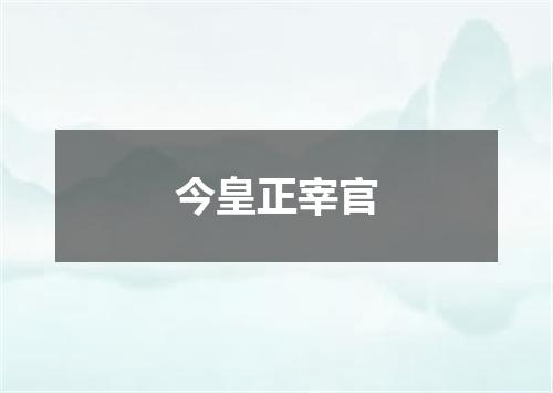 今皇正宰官