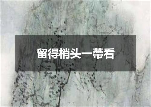 留得梢头一蔕看