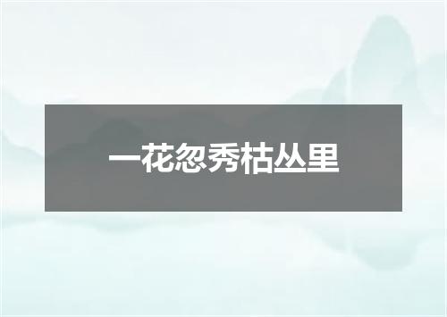 一花忽秀枯丛里