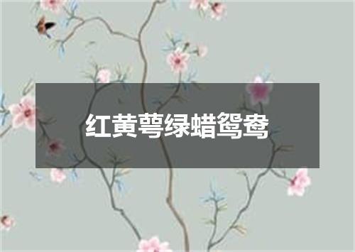 红黄萼绿蜡鸳鸯