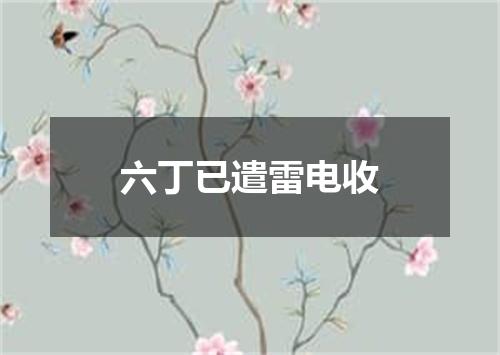 六丁已遣雷电收