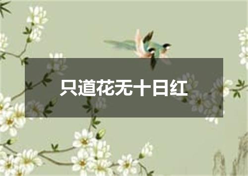只道花无十日红