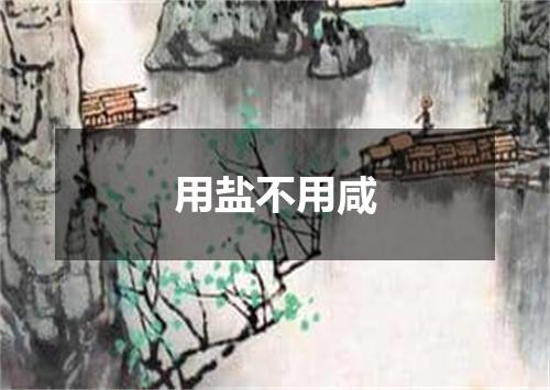 用盐不用咸
