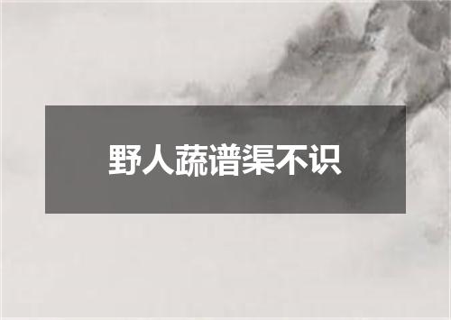 野人蔬谱渠不识