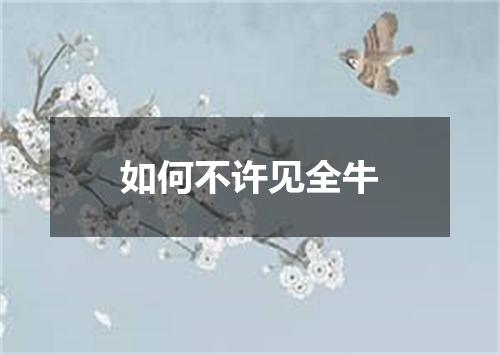 如何不许见全牛