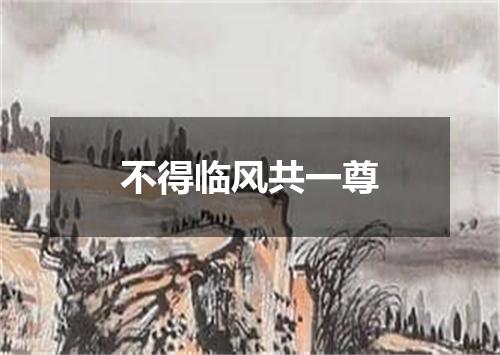 不得临风共一尊