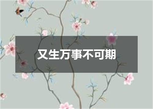 又生万事不可期