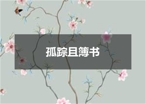 孤踪且簿书