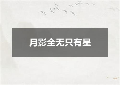 月影全无只有星