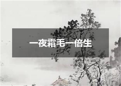 一夜霜毛一倍生