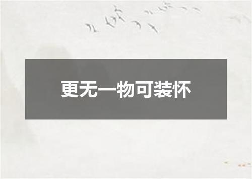 更无一物可装怀