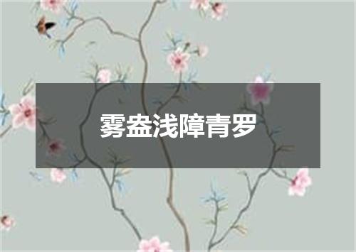 雾盎浅障青罗