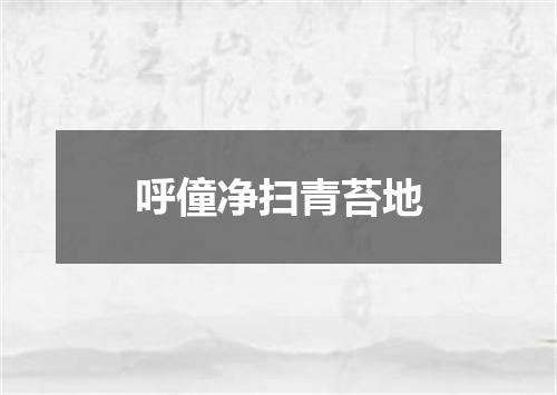呼僮净扫青苔地