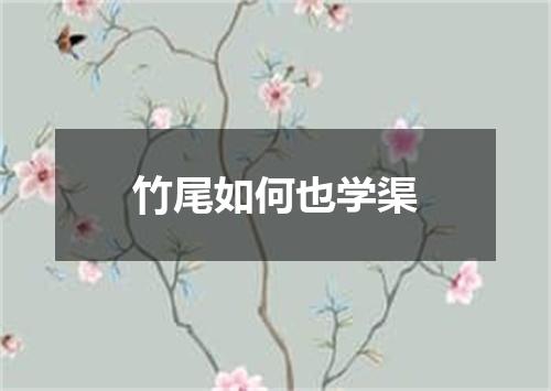竹尾如何也学渠