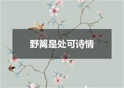野篱是处可诗情