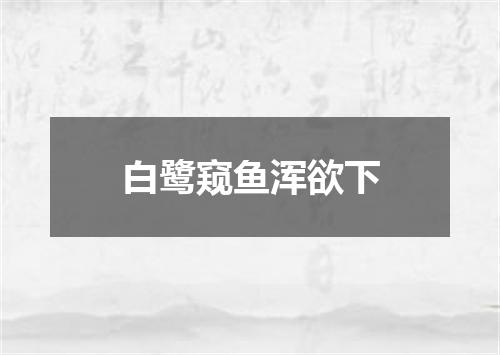 白鹭窥鱼浑欲下