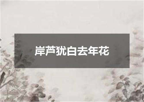 岸芦犹白去年花
