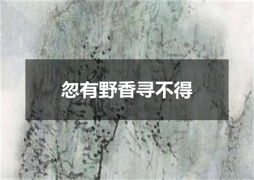 忽有野香寻不得