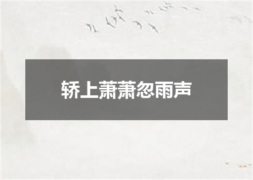 轿上萧萧忽雨声